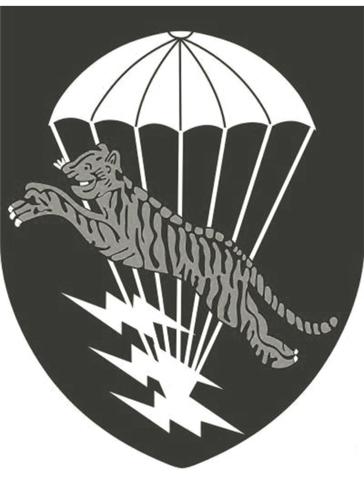 ２色展開◆色味、プリントの雰囲気もGOOD◆ヴィンテージ復刻 FLYING TIGERプリント Ｔシャツ◆S～2XL