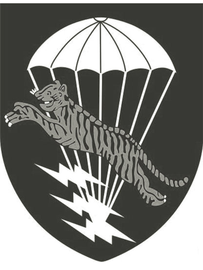 ２色展開◆色味、プリントの雰囲気もGOOD◆ヴィンテージ復刻 FLYING TIGERプリント Ｔシャツ◆S～2XL